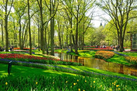 Flower Beds Of Keukenhof Gardens In Lisse Netherlands Editorial Stock