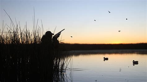 Argentina Waterfowl Hunting Gage Outdoor Expeditions