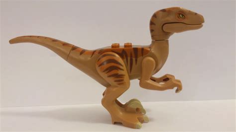Maltańczyk kolorowanka wektory, rysunki, ilustracje stockowewyszukiwanie podobnych wektorów: LEGO Jurassic World : O Mundo dos Dinossauros #09 - MINHA ...