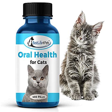 Top 10 Oral Care For Cats Of 2022 Katynel