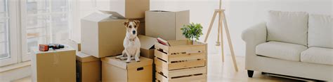 Shipping Household Goods - PBS International