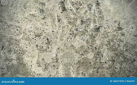 Stone Texture With Fossils Stock Photo Image Of Grey 166271870