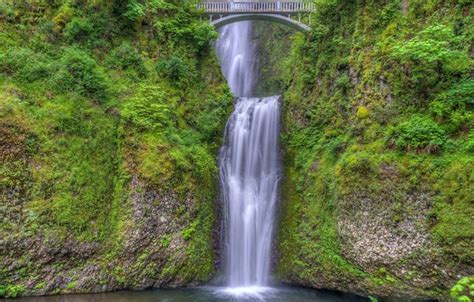 Обои лес ручей водопад Орегон каскад Oregon Columbia River Gorge