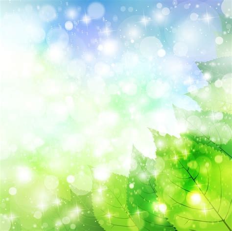 Fresh And Green Natural Leaves On Blue Sky Background Vector