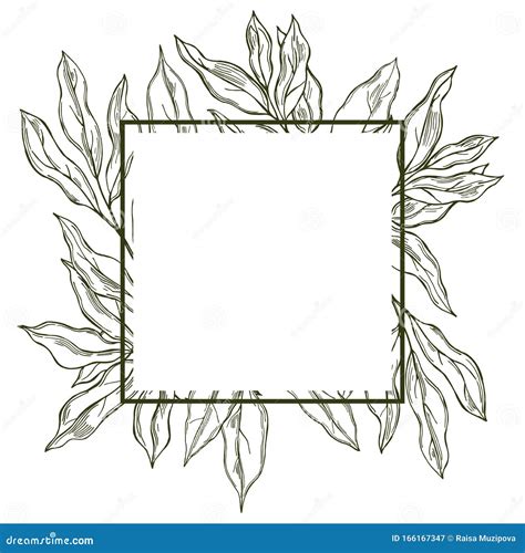 Vector Frame With Laurel Plant Sketch Illustration Stock Vector