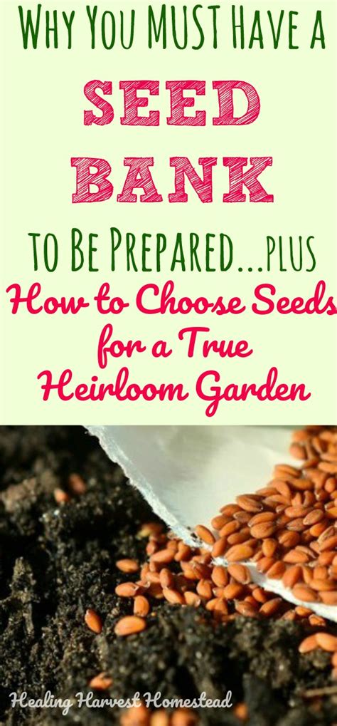 We offer over 1350 heirloom varieties, www.rareseeds.com. Why You MUST Keep a Seed Bank---Things to Consider — Home Healing Harvest Homestead