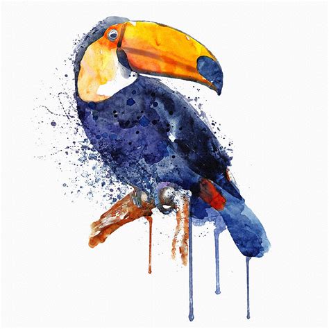 Toucan Painting By Marian Voicu Pixels
