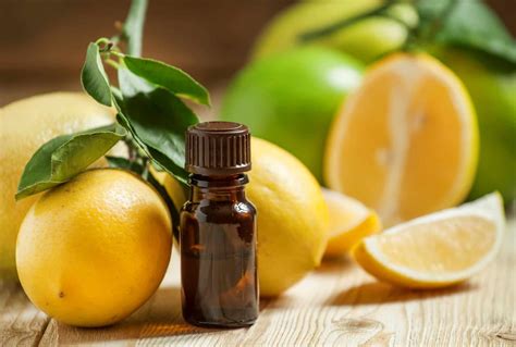 5 Uses For Lemon Essential Oil Natural Working Moms