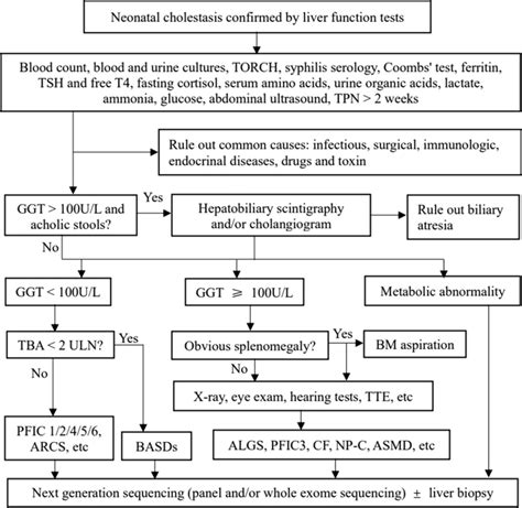 A Diagnostic Algorithm For Neonatal Cholestasis Tpn Total Parenteral