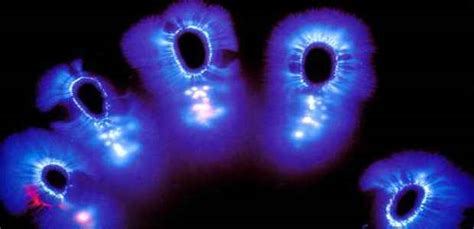 The Science Behind Auras And Kirlian Photography Search Of Life