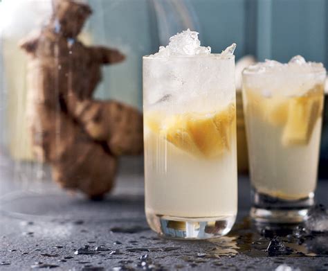Homemade Alcoholic Ginger Beer Recipe South Africa Bryont Blog