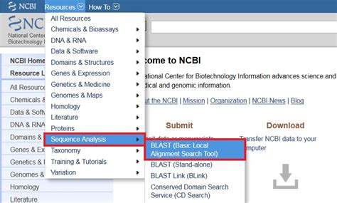 Blast Compare And Identify Sequences Ncbi Bioinformatics Resources An