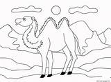 Coloring Camel Pages Simple Animal Printable sketch template