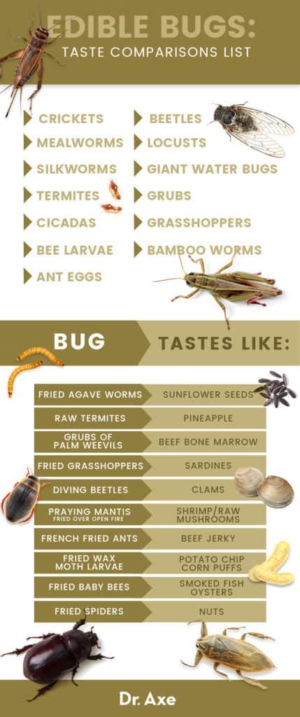 Edible Bugs Which Ones To Eat And Always Avoid Dr Axe