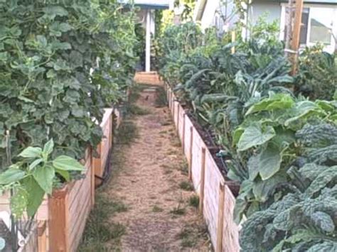 A modern homestead garden takes some garden planning and timing crops. Suburban Homesteading Edible Victory Garden Edible Estate ...