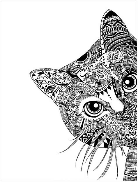 Hand Drawn Zentangle Doodle Drawings Cat Coloring Page Zentangle