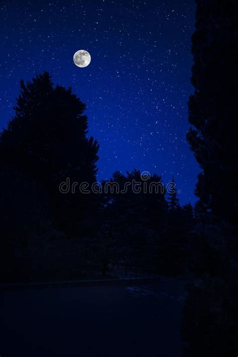 Mountain Road Through The Forest On A Full Moon Night Stock Image