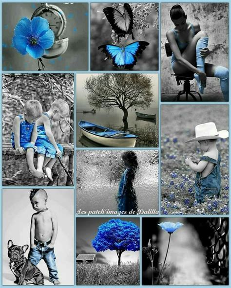 Pin By Dalilla Diboune On Patchimages Color Collage Color Splash