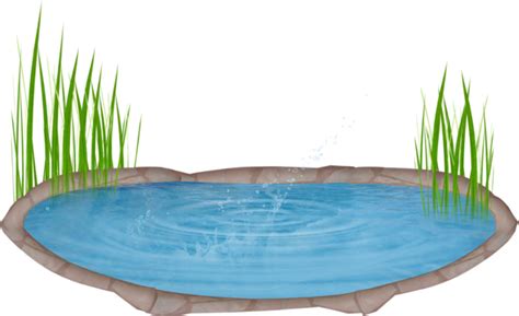 Collection Of Clipart Transparent Pond Clipart Png Download Full