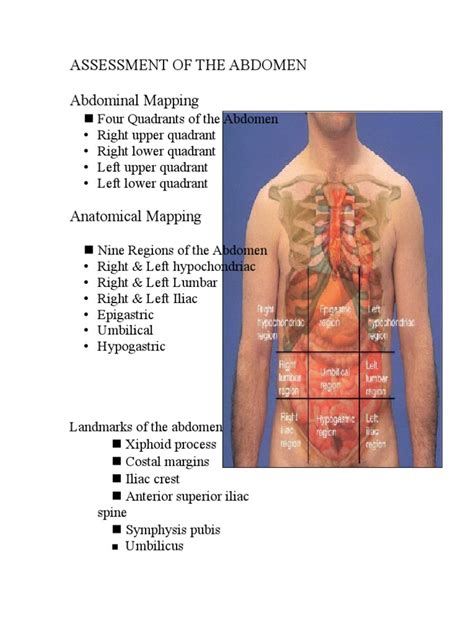 Four Quadrants Of The Body Ovulation Symptoms