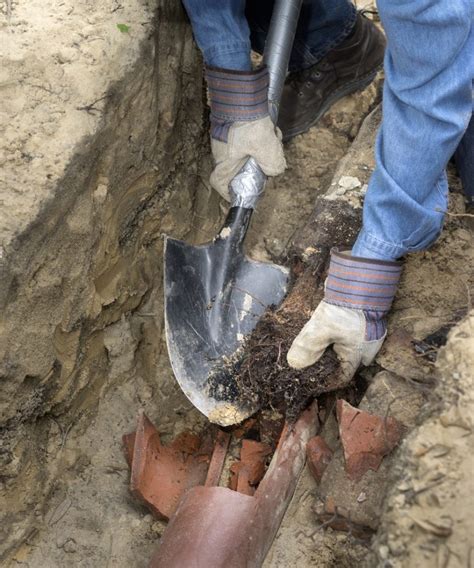 Use a pointed shovel to dig out the soil around the tree stump. Sewer Tree Roots Removal Services Toronto | Saving Plumbing
