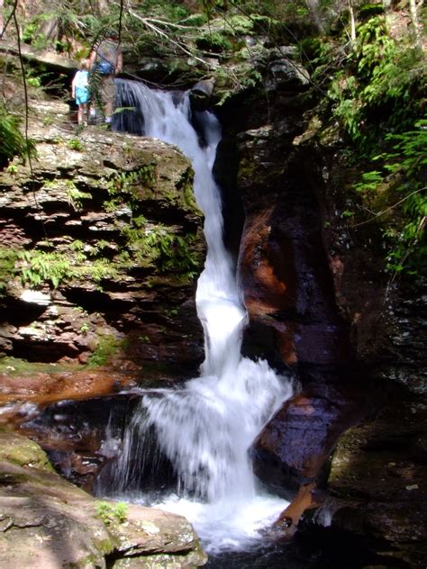 Ricketts Glen State Park Pa Glen Waterfalls State Parks Magnificent