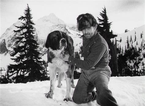Hal, who is young and inexperienced, feels the only way to treat the dogs is to whip or club them, if they do not perform to his standards. The Call of the Wild Blu-ray Review
