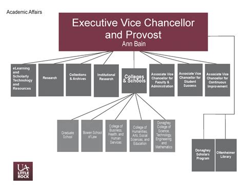 Ua Little Rock Academic Affairs Organizational Chart Executive Vice