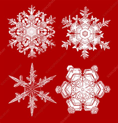 Snowflakes Stock Image C0174267 Science Photo Library