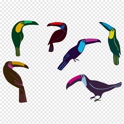 Bird Parrot Toucan Beak Toco Toucan Animal Feather Piciformes