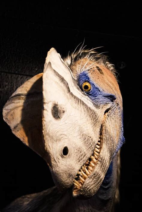 Photograph New Dilophosaurus Exhibit Las Vegas Weekly