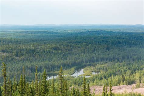 Boreal Forest Climate
