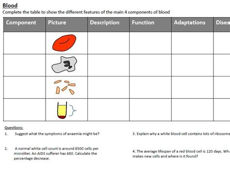 Blood Components Gcse Cut And Stick Task With Cut Free Worksheets Samples