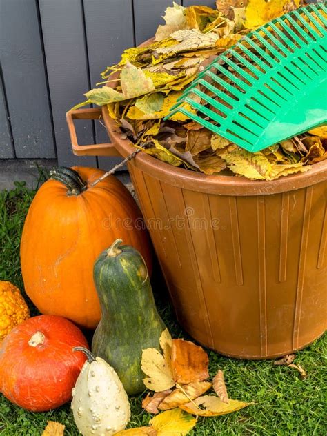 Autumn Garden Cleaning Stock Photo Image Of Clean Lawn 60171512