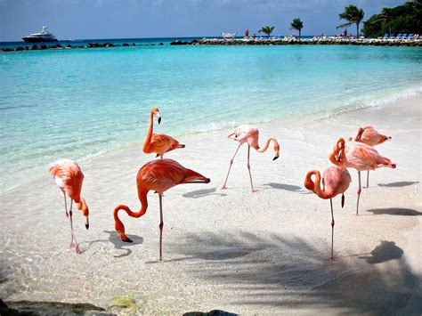 Celestun Yucat N Mexico Playas De Yucatan Imagenes De Playas