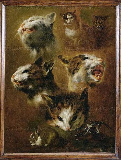 Pin On Cats In Art 17th Century At The Great Cat