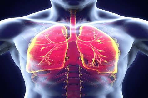 Enfermedad Pulmonar Vascular Causas S Ntomas Diagn Stico 79744 Hot
