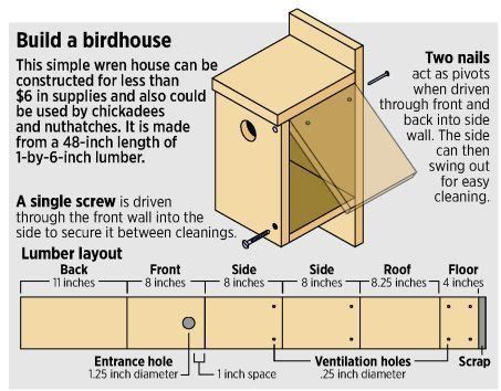 3) mark's bird house with hole guard. Time is right to build or buy a birdhouse | Birdhouse ...