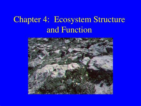 Ppt Chapter 4 Ecosystem Structure And Function Powerpoint