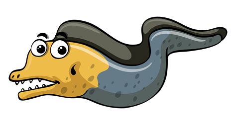Eel Vector Art Icons And Graphics For Free Download