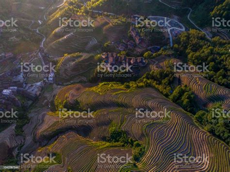 Terrace Rice Fields And Small Chinese Village In Mist Longsheng Guilin