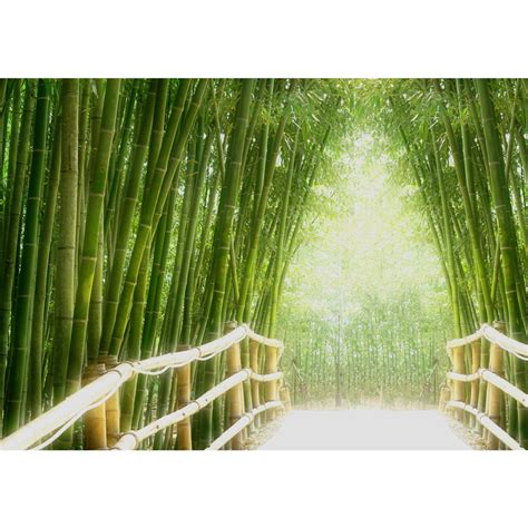 Fototapete Premium Plus Wand Foto Tapete Bild Vliestapete Bamboo Walk