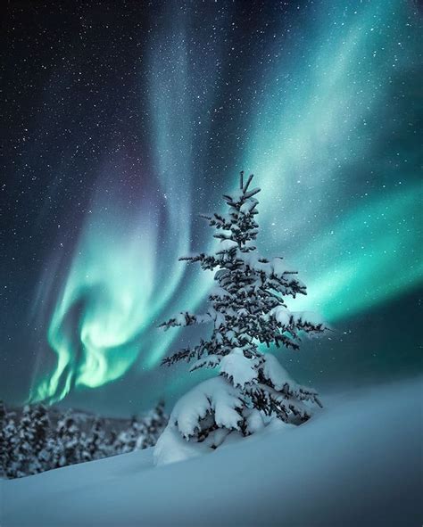 Beautiful Northern Lights Northwest Territories Canada Northern