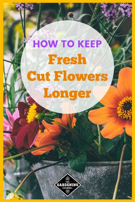 Make sure the string is securely attached. How to Help Fresh Cut Flowers Keep Longer - Gardening Channel
