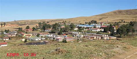 Nkandla forest in eshowe, kwazulu natal. Zululand | KZN: A Photographic and Historical Record