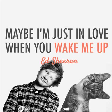 Been this way since 18, but lately her face seems. Ed Sheeran Quote Collection: - Give Me Love - The A Team ...
