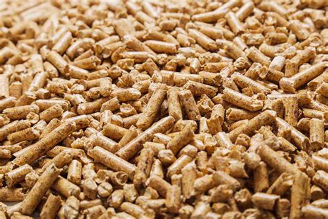 Tractor Supply Pine Pellets: Cheap Cat Litter Alternative? – tuft + paw
