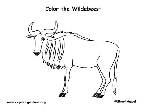 Wildebeest Coloring Page