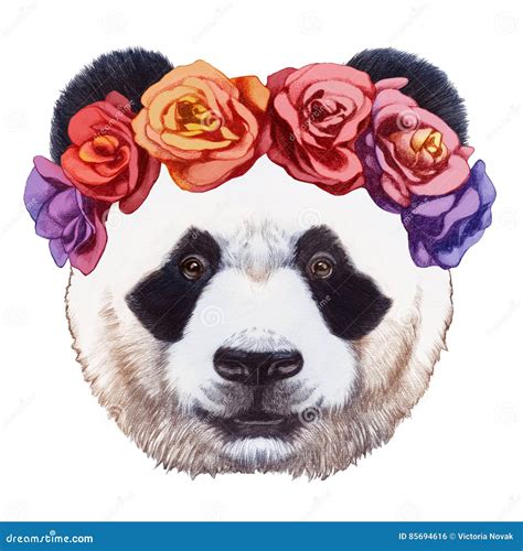Porträt Des Pandas Mit Blumenhauptkranz Stock Abbildung Illustration