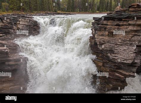 Athabasca Falls A Waterfall In Jasper National Park On The Upper